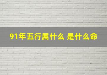 91年五行属什么 是什么命